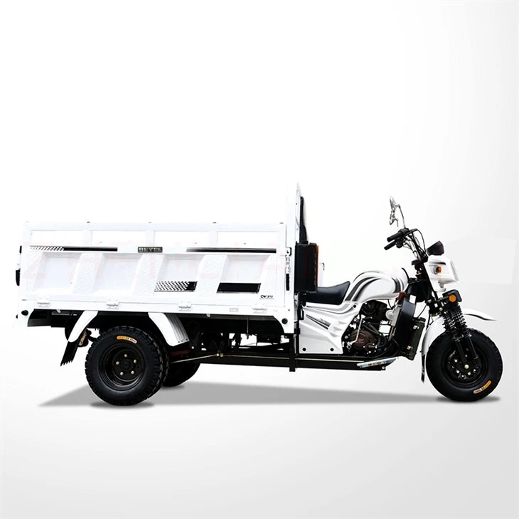 Commercial Cargo Motor Tricycle Commercial Cargo Motor Tricycle
