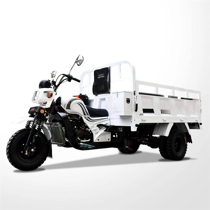 Gasoline Cargo Motor Trike Gasoline Cargo Motor Trike