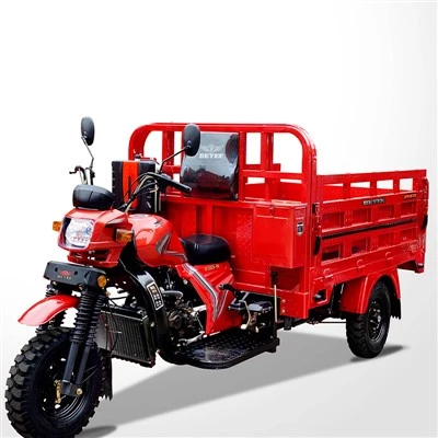 Petrol Three Wheeler Motor Trike Loader