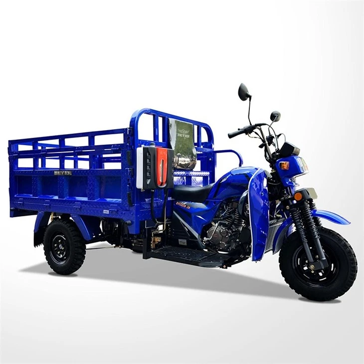 Petrol Cargo Motor Trike high quality