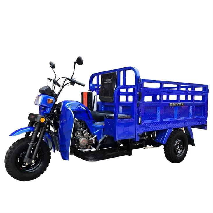 Petrol Cargo Motor Trike