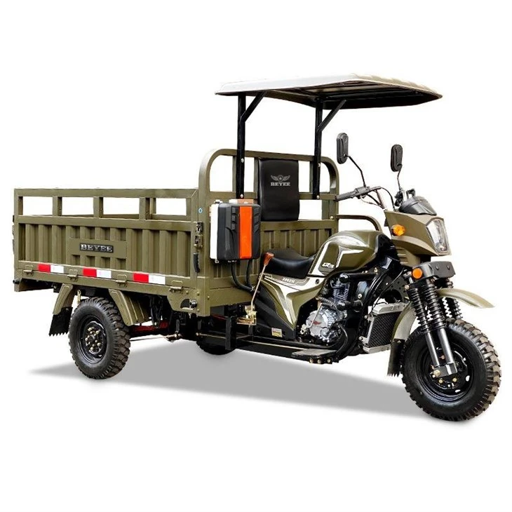 Practical Petrol Cargo Three Wheeler best Practical Petrol Cargo Three Wheeler best