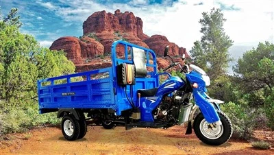 250cc Gasoline Cargo Motor Tricycle