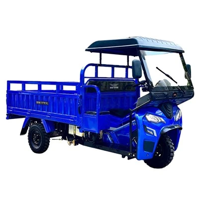 Agricultural Freight Motor Tricycle