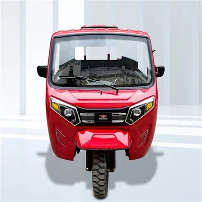 Durable Commercial Cargo Tricycle