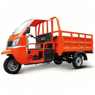 Efficient Gasoline Freight Tricycle