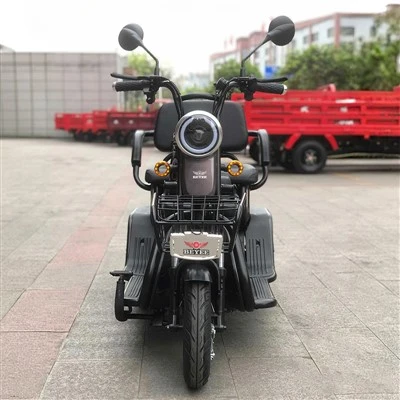 Electric Tricycle with Passenger Seat