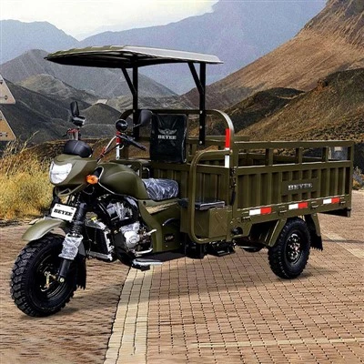Gasoline Cargo Carrier Tricycle