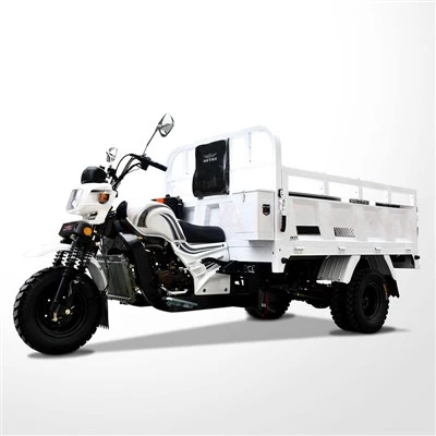 Gasoline Cargo Motor Trike