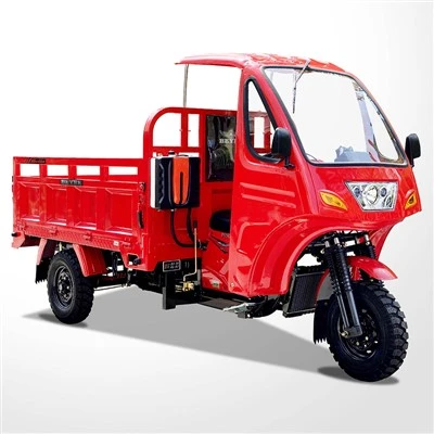 Gasoline Goods Carrier Three Wheeler