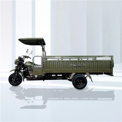 Motorized Cargo Carrier Three Wheeler
