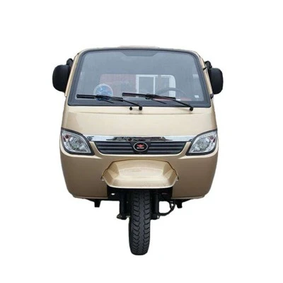 Petrol Agricultural Cargo Tricycle