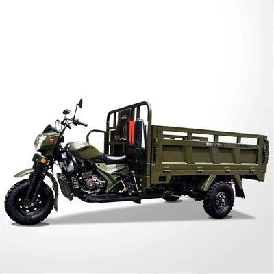 Petrol Goods Carrier Tricycle