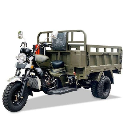 Petrol Powered Cargo Carrier