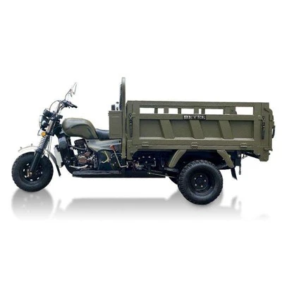 Practical Petrol Cargo Three Wheeler