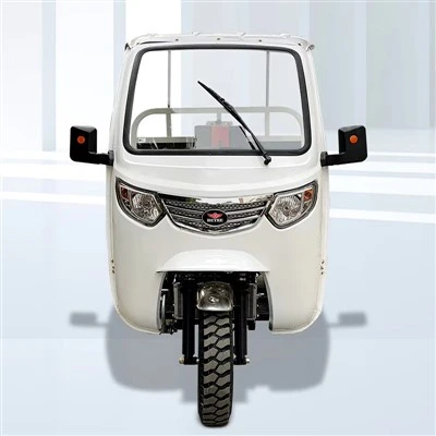 Rugged Gasoline Cargo Three Wheeler